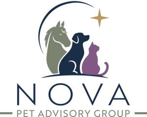 Nova Logo Purple PNG 12x9 Nova Logo Purple PNG 12x9